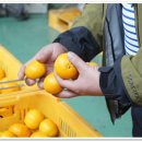 온새미영농조합법인 이미지