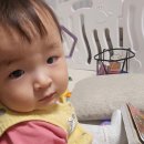 복덩이떡볶이 이미지