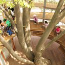 열린유치원 이미지