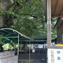 단장숲 바베큐 이미지