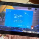6월 일상 1