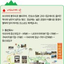 앤디여행사 이미지