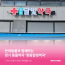 향동달빛약국 네이버블로그