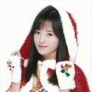 키쿠 이미지