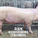 이승수 농장 이미지