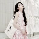 디올곳 티스토리