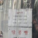 가락시장역 8번출구 | 서울붕어빵 맛집 / 가락시장역 8번출구 ‘황금잉어빵’ 2번 방문(팥/슈크림/땅콩빵)