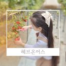 커피먹인닭 농장 | 용인아이와갈만한곳 동물먹이체험 딸기수확체험 모래놀이까지 한곳에서 헤븐온어스체험농장 후기