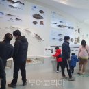 무안황토갯벌랜드(과학관) 이미지