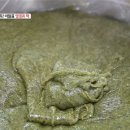 영광애꽃