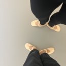 [취미발레/성인발레] 발린이의 발레일기 (8월 한 달 후기)