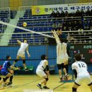 장성스포츠