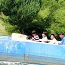 월드 합기도 이미지