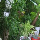 동양화원 이미지