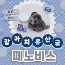 새로이동물병원 | 면역력 올려주는 강아지 유산균 추천, 페노비스 급여 후기