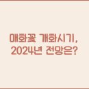 개화 이미지