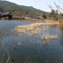 재송여자중학교 이미지