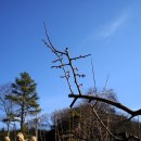 마곡사 주차장2 | 마곡사와 태화산 등산코스 안내