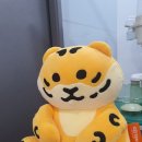오스톤치과 이미지