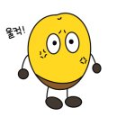 Dr.펫 이미지