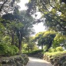 일본 워홀(D+47) 알바 면접, 회사출근