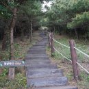 지미돈 이미지