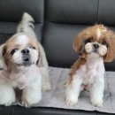 네임드 살롱 이미지