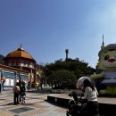 대전 오월드 동물원 주차 할인 유모차 웨건