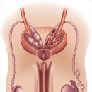 서울엔(N)비뇨기과의원 이미지