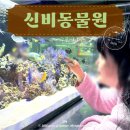 온누리광고.수생식물 | 가평 신비동물원 내돈내산 솔직후기! 아이와 비오는 날 실내 동물원 & 수족관 카페 완벽 코스
