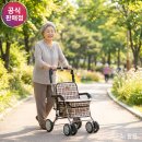 진산메디칼 | 진산메디칼 노인보행기 F-218 사용감과 가격 할인 정보