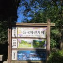 고요의계절 | 이미 가을이 시작된 가평 아침고요수목원 방문 후기