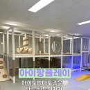 아이팡 플레이 | 엄마도 아이도 만족도 최고! _ 반곡동 무인키카 아이팡플레이