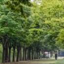 미술관로 이미지