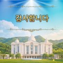 멈출 수 없는 참사랑의길 이미지