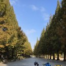 일산 킨텍스캠핑장 불멍 자캠 (2025년 10월 28일~29일) 이미지