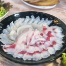 오복호 | 내돈내산 속초 설악항 회센터 속초 회맛집 오복호