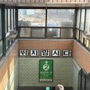 (주)게이즈 | [앤팀] 성수 팝업 후기(+멜빌, 능동미나리, 맥파이앤타이거, 포인트오브뷰, 메이타왕)