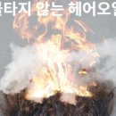 버닝헤어 이미지