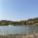 토담한방병원 | 아 운동시작했는데 살 왜안빠지냐, 하지만 내가 시작한 것은 먹방이란걸 알게 되었을 때