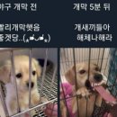 야구와사람들 이미지