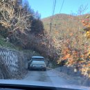 서담숲 | 청도 키에튀드 서담 안채 | 청도 자연 감성 숙소 재방문 후기