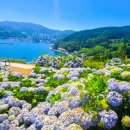 진성민박 이미지