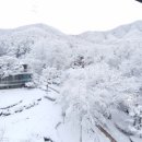 케이미래의원 이미지