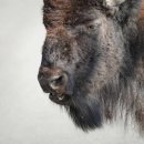 자연과호수 이미지