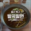 바른밀면 바른국밥 | [울산 진장동 맛집] 팔곡밀면 진장본점 숯불고기도 파는 명촌 밀면 맛집
