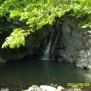 숲속의하루 이미지