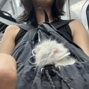 고성가야밀면 이미지