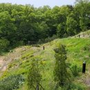 인천공항초교 신도분교 이미지