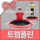 셀럽점핑 다이어트 | 핏분 유아 트램폴린! 점핑 다이어트 운동법! [재입고 D-5]